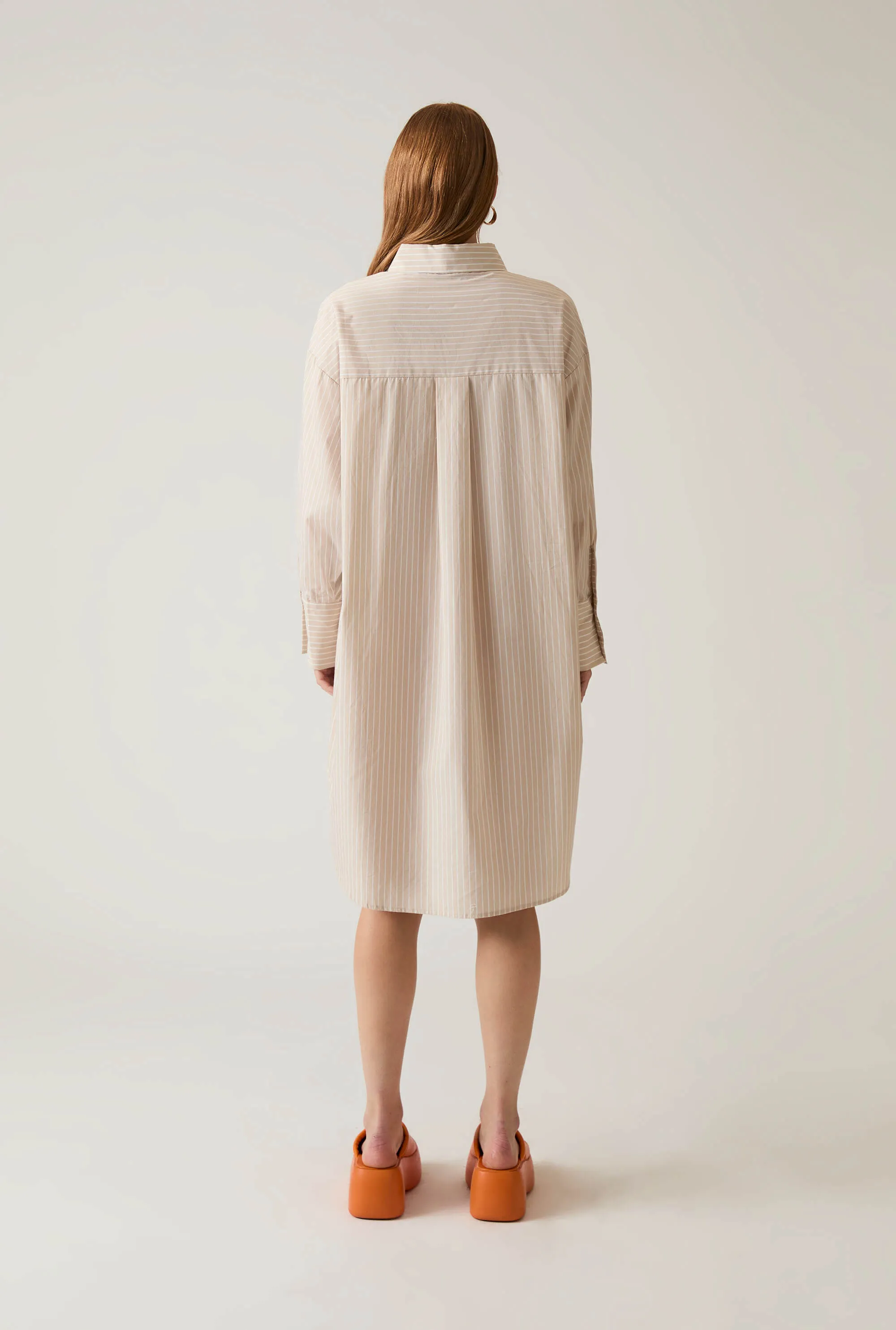 Beige-White Striped Shirt