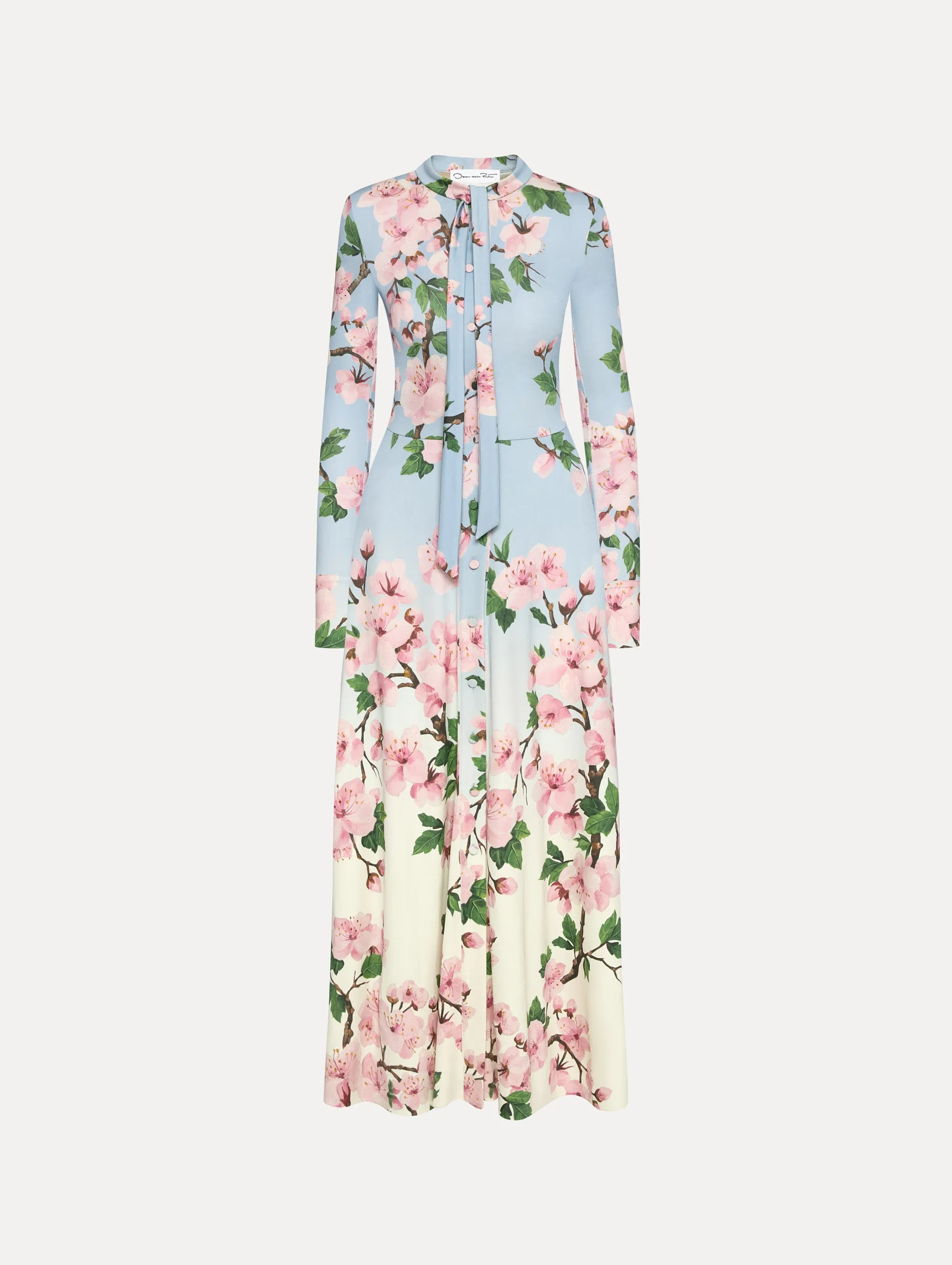 Ombré Cherry Blossom Jersey Dress